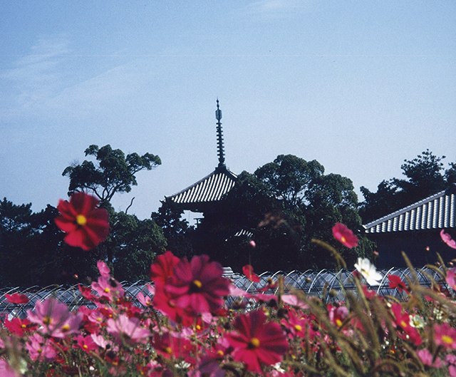 法隆寺