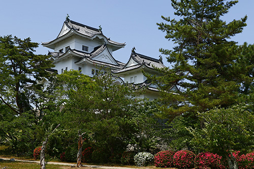 伊賀上野城